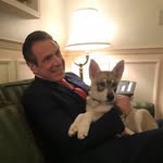 nygovcuomo profile picture
