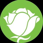 nyrp profile picture