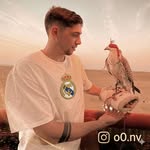 o0.nv profile picture