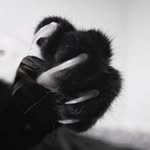o0o_wolf profile picture
