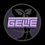 obagelite profile picture