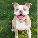 obi_loves_you_ profile picture