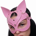 obsessharnesses profile picture