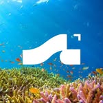 ocean.roamer profile picture