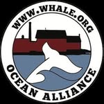 oceanalliance profile picture