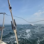 oceanic6220 profile picture
