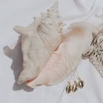 ocean_melody_jewelry_ profile picture