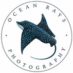 oceanraysphotography profile picture
