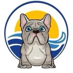 oceansidefrenchbulldogs profile picture
