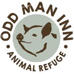 oddmaninn profile picture