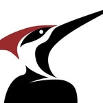 odesignerartesao profile picture