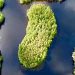 off.grid.island profile picture