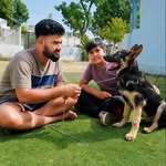 official_cricket_paglu_45 profile picture