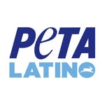 officialpetalatino profile picture