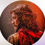 official_pintu_750_ profile picture