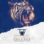 officialstillman profile picture