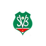 officialsvb profile picture