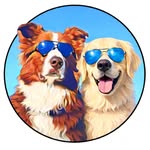 officialwillygooddog profile picture