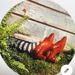offtherecordnocameras profile picture