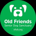 ofsds profile picture