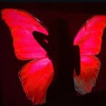 ofx.ur_ainnnny profile picture