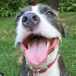ohhelloowen profile picture