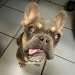 ohmyauggie profile picture