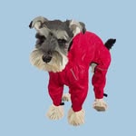 ohsosnoopy profile picture