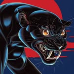 ojaguarnoiro profile picture