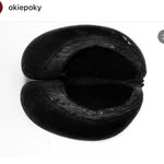 okiepoky profile picture