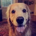 okzoey profile picture