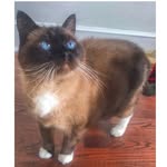 ol_blueeyes_ profile picture