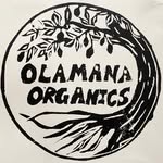 olamanaorganics profile picture