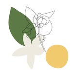 oldaysusa profile picture