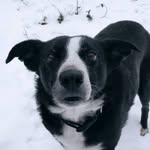 oldforgecreations profile picture