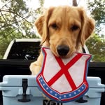 oldrowpups profile picture