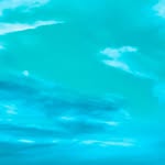 oliavarda profile picture