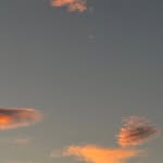 olivafoto profile picture