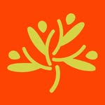 oliveirafoundation profile picture