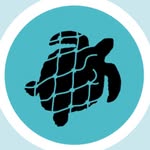 oliveridleyproject profile picture