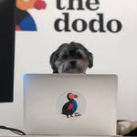 oliver_thedodo profile picture