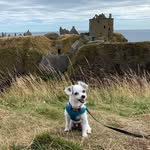 oliverthesmalliver profile picture