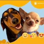 oliviaejair profile picture