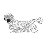 oliviafoundation profile picture