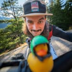 ollielowthorpe profile picture