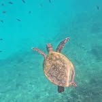oman_tours_and_trips profile picture