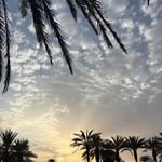 omar_hamideh.1 profile picture