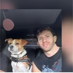 omnesdan profile picture