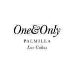 oneandonlypalmilla profile picture