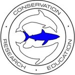 oneoceandiving profile picture